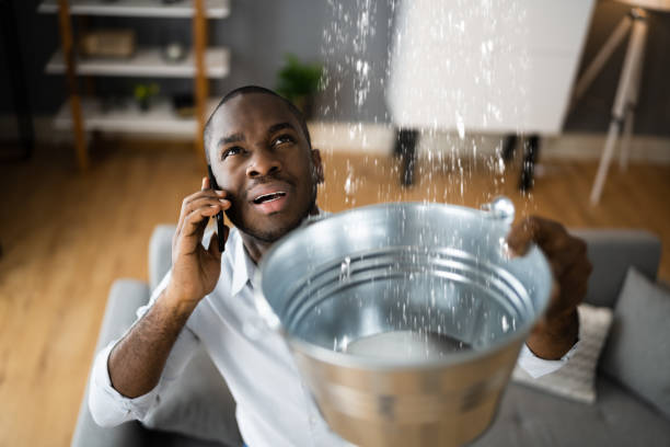 Best Flood damage cleanup  in Pike Creek Valley, DE