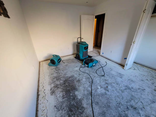 Best Emergency water damage restoration  in Pike Creek Valley, DE