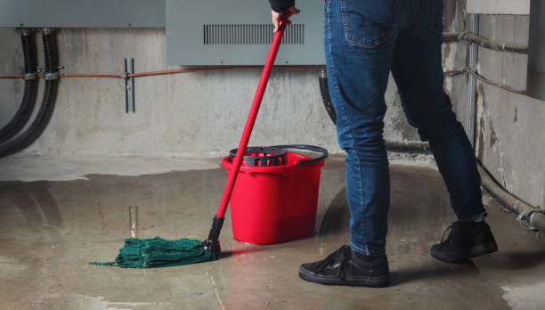 Best Local water damage restoration  in Pike Creek Valley, DE