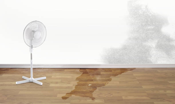 Fire Damage Restoration in DE