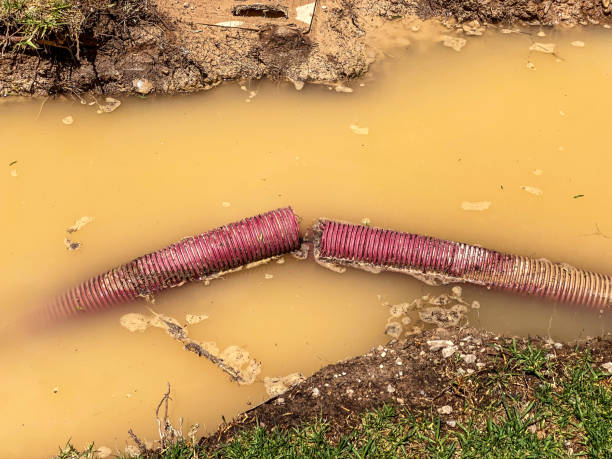 Best Local water damage restoration  in Pike Creek Valley, DE