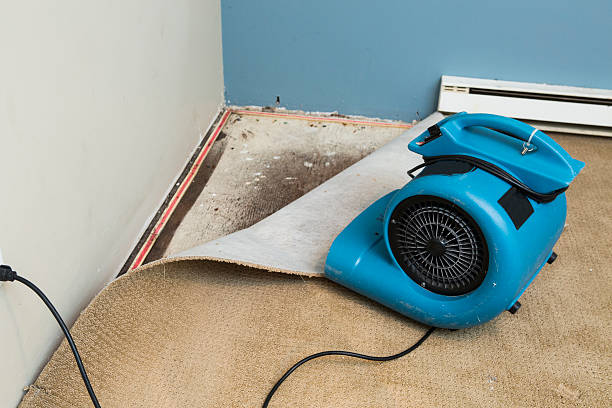 Best Water damage contractors near me  in Pike Creek Valley, DE